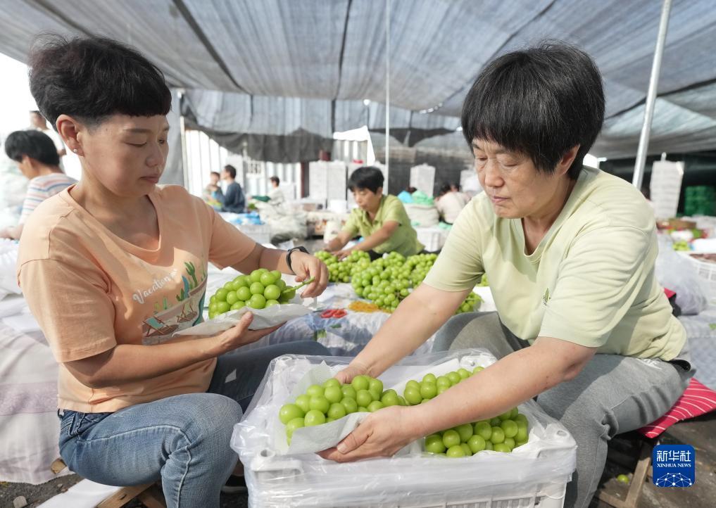 威尼斯人官方网m.53701